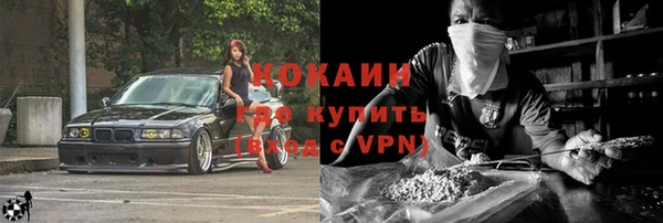 apvp Каменка