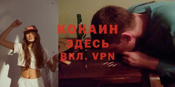 apvp Каменка