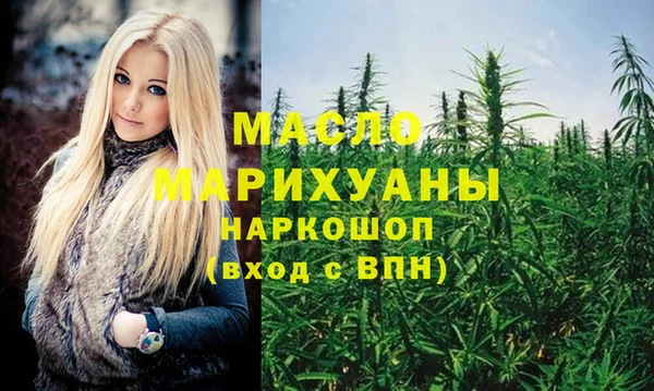 apvp Каменка