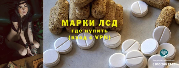 apvp Каменка