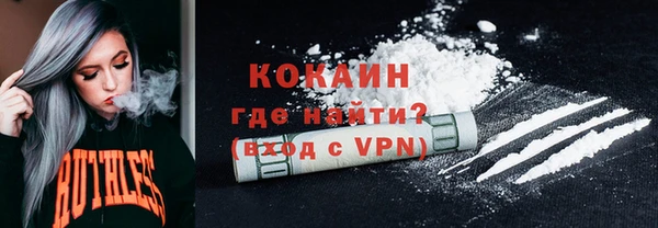 apvp Каменка