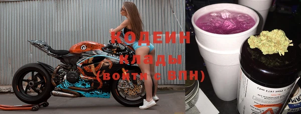 apvp Каменка