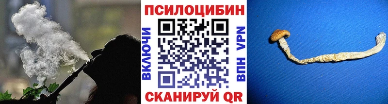 Купить где  Коркино  Галлюциногенные грибы Psilocybine cubensis 